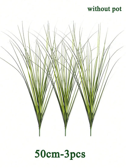 Tropical Grass Plant