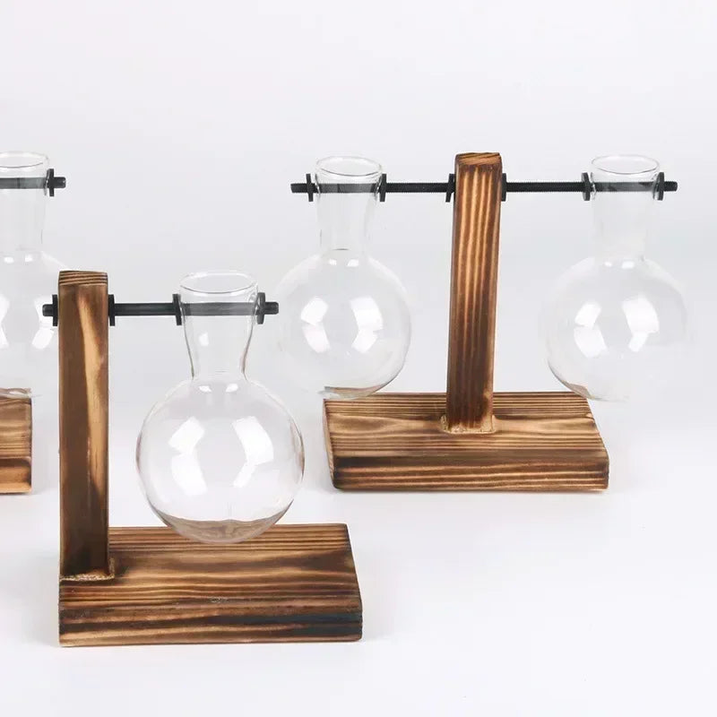 Glass Hydroponic Plant Vase