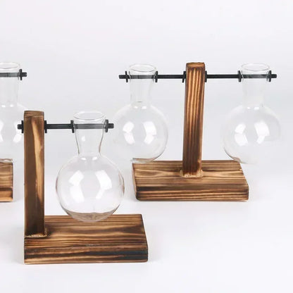 Glass Hydroponic Plant Vase