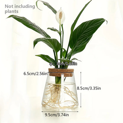 Glass Plant Vase