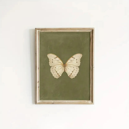 Vintage Butterfly Canvas Wall Art