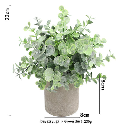 Eucalyptus Mini Planter