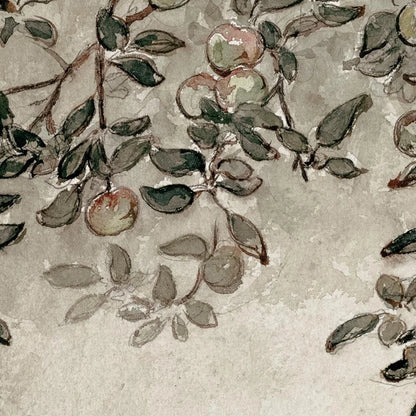 Botanical Apple Branch Sketch