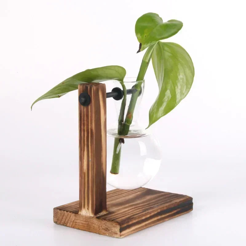 Glass Hydroponic Plant Vase