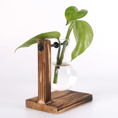 Glass Hydroponic Plant Vase