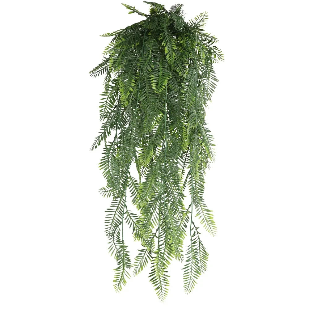Lush Persian Fern Vine