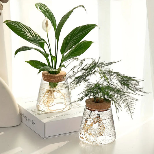 Glass Plant Vase