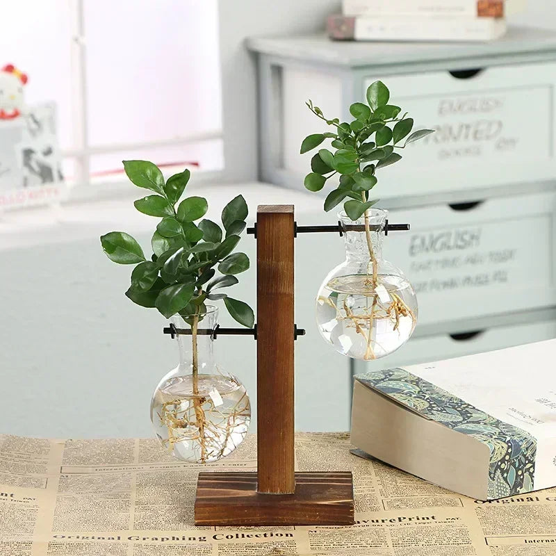 Glass Hydroponic Plant Vase