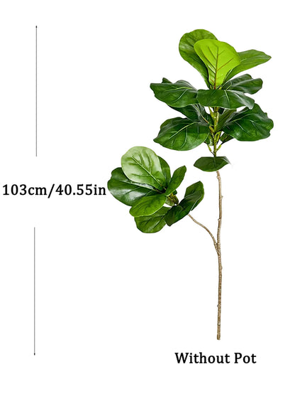 Decorative Ficus Tree