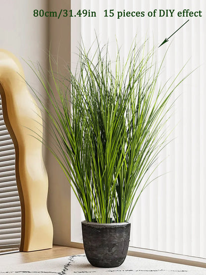 Tropical Grass Plant