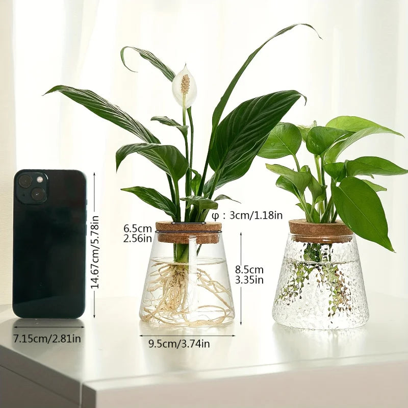 Glass Plant Vase