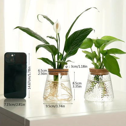 Glass Plant Vase