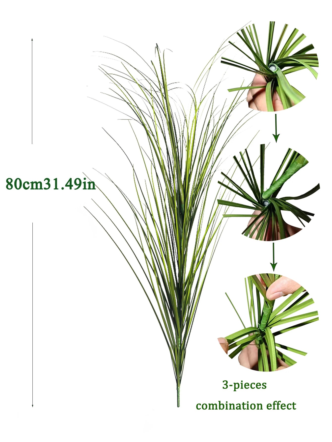 Tropical Grass Plant