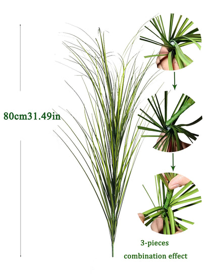 Tropical Grass Plant