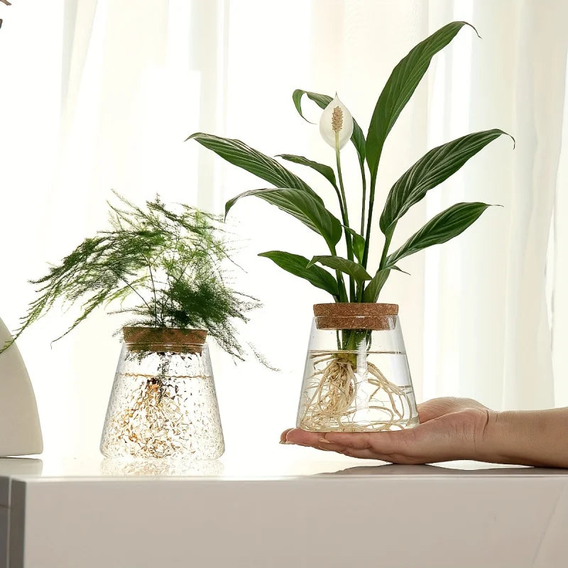 Glass Plant Vase