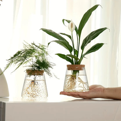 Glass Plant Vase