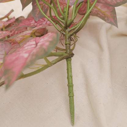 Palm Grove Leaf Display