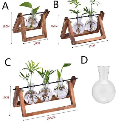 Glass Plant Vase with Natural Wood Stand