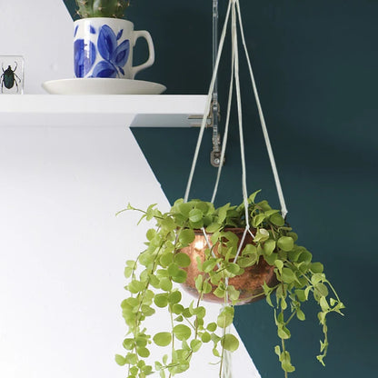 Harvest Knot Hanging