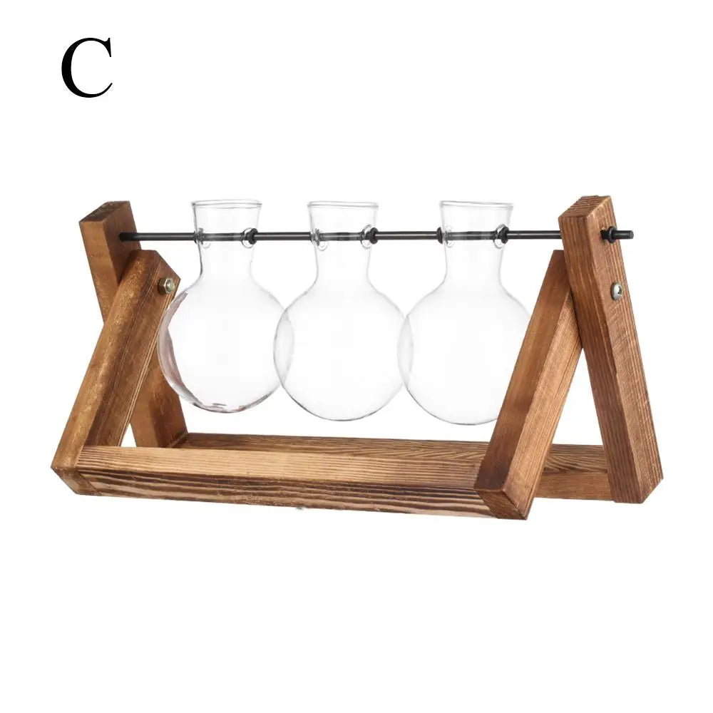 Glass Plant Vase with Natural Wood Stand