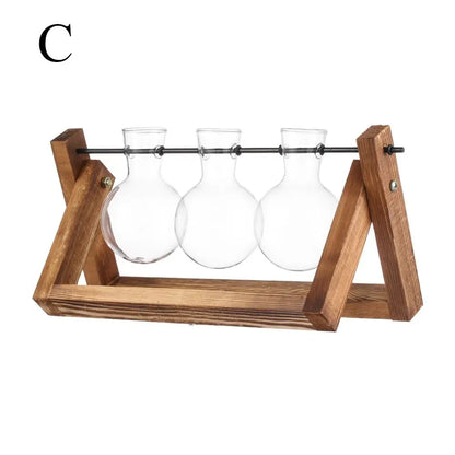 Glass Plant Vase with Natural Wood Stand