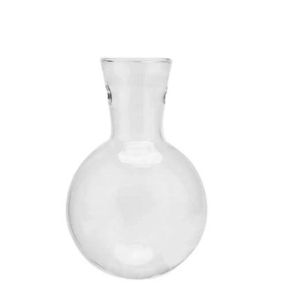 Glass Plant Vase with Natural Wood Stand