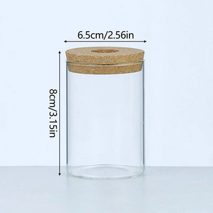 Sleek Transparent Plant Vase
