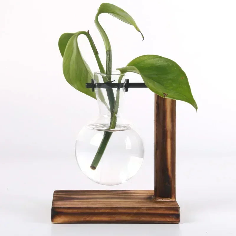 Glass Hydroponic Plant Vase