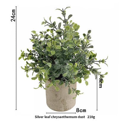 Eucalyptus Mini Planter