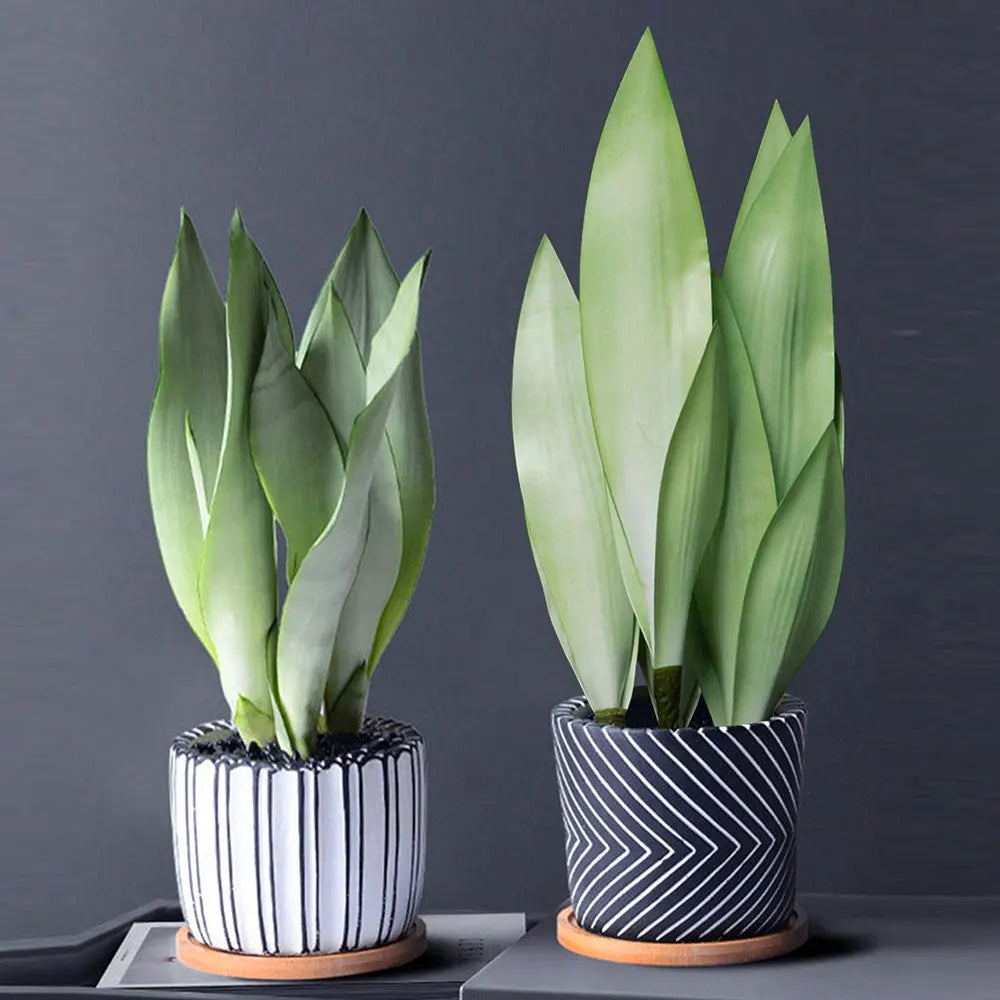 Serene Tiger Leaf Faux Succulent