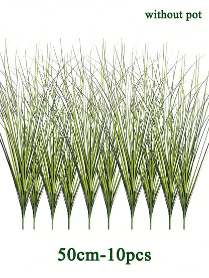 Tropical Grass Plant