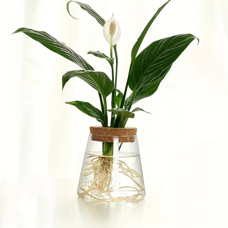 Glass Plant Vase