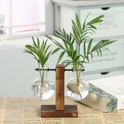 Glass Hydroponic Plant Vase
