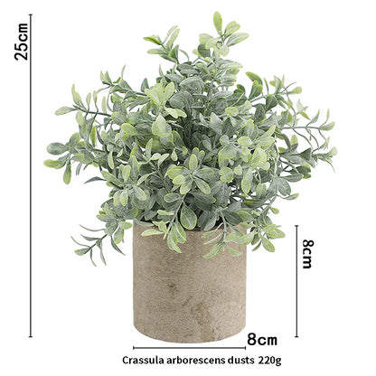 Eucalyptus Mini Planter